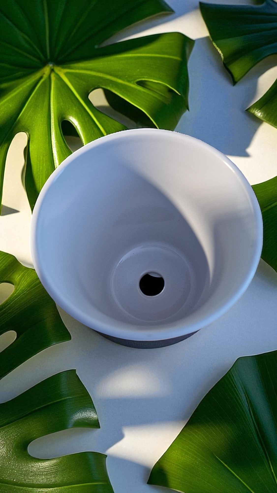 White ceramic planter with a central hole on a white background with green leaves.