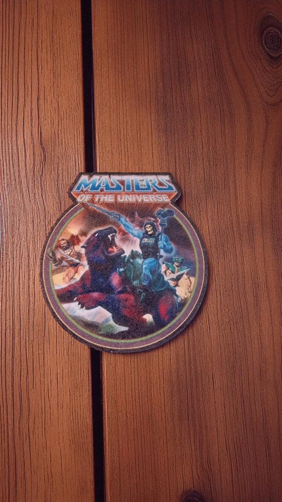 Decorative plate with 'Masters of the Universe' design on a wooden surface
