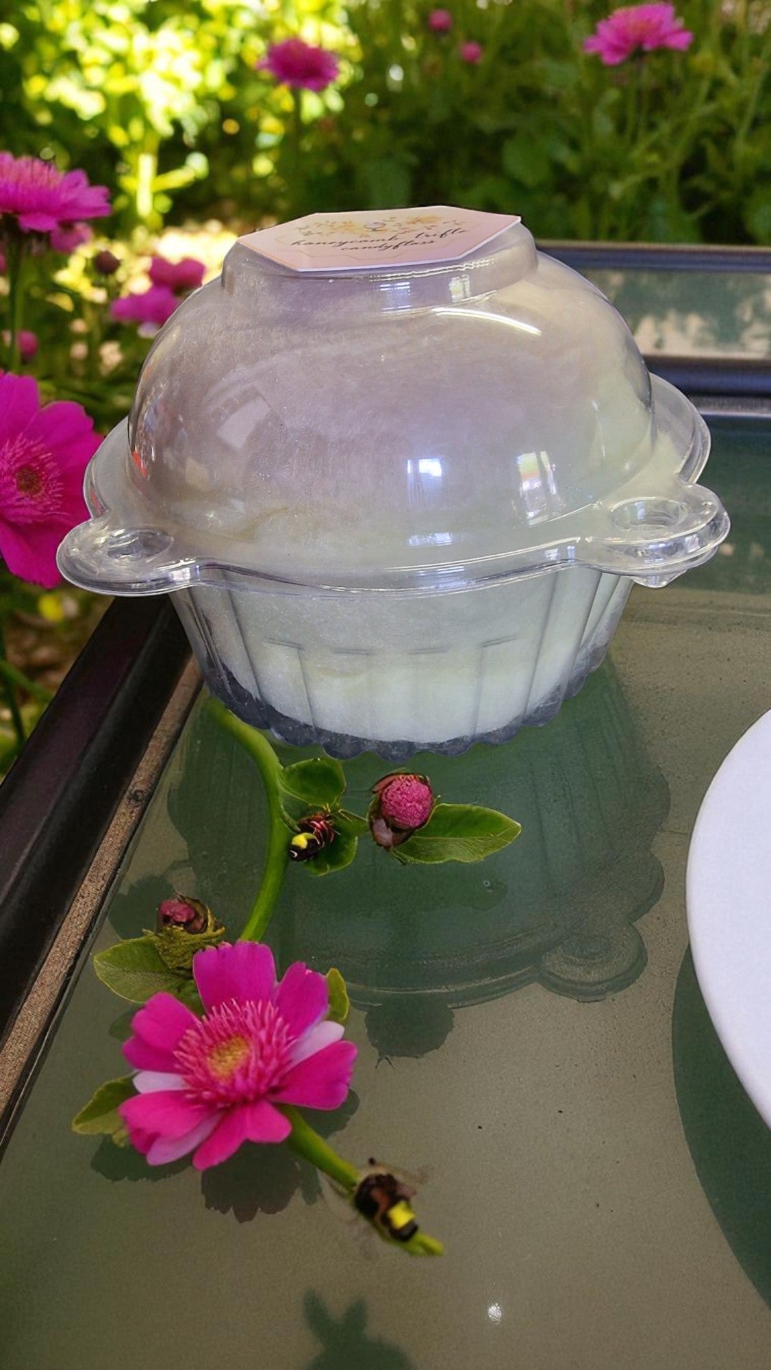 Clear plastic container with a pink flower and ladybug on a reflective surface with blurred flowers in the background