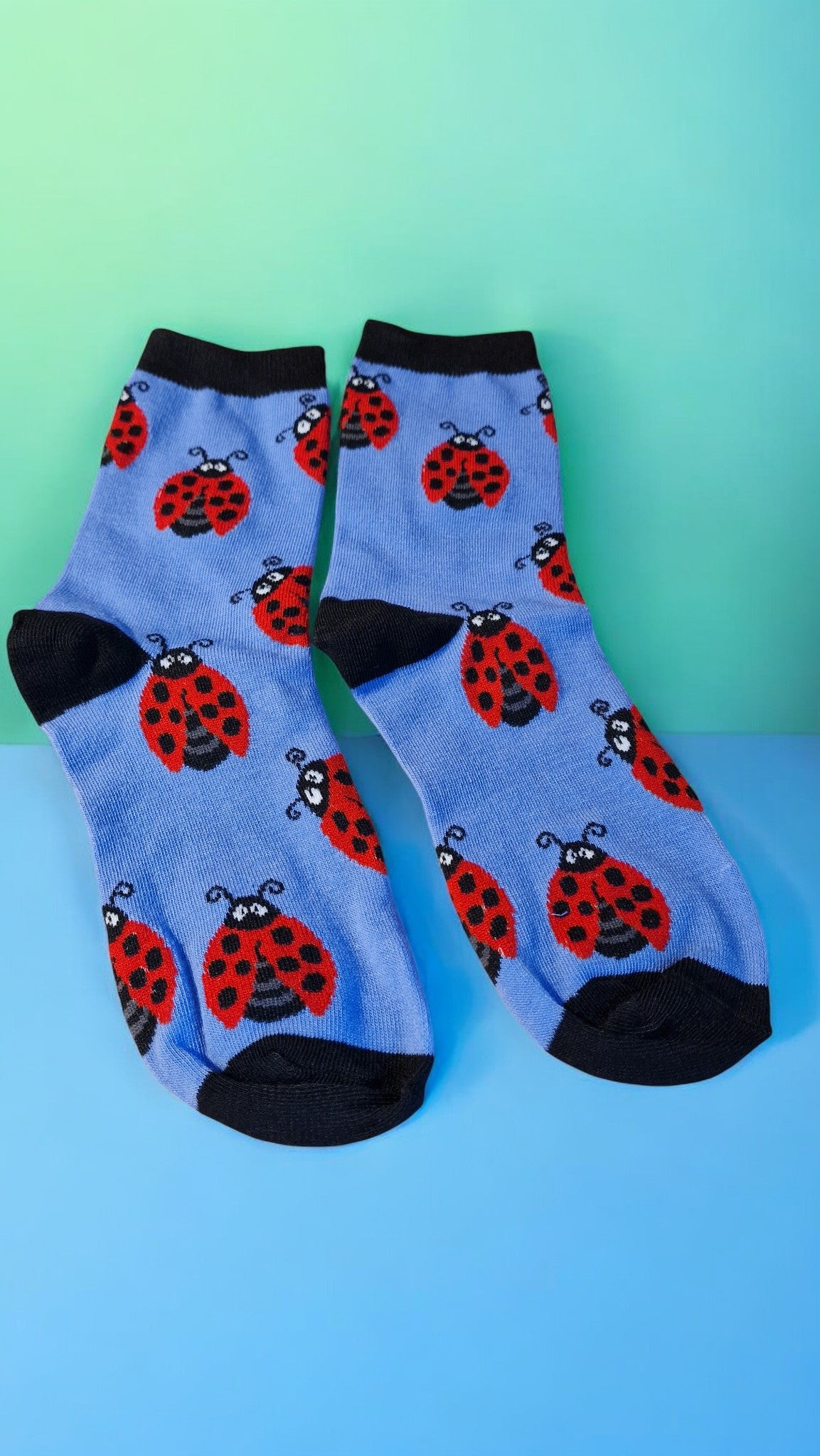 Pair of socks with ladybug pattern on a blue background