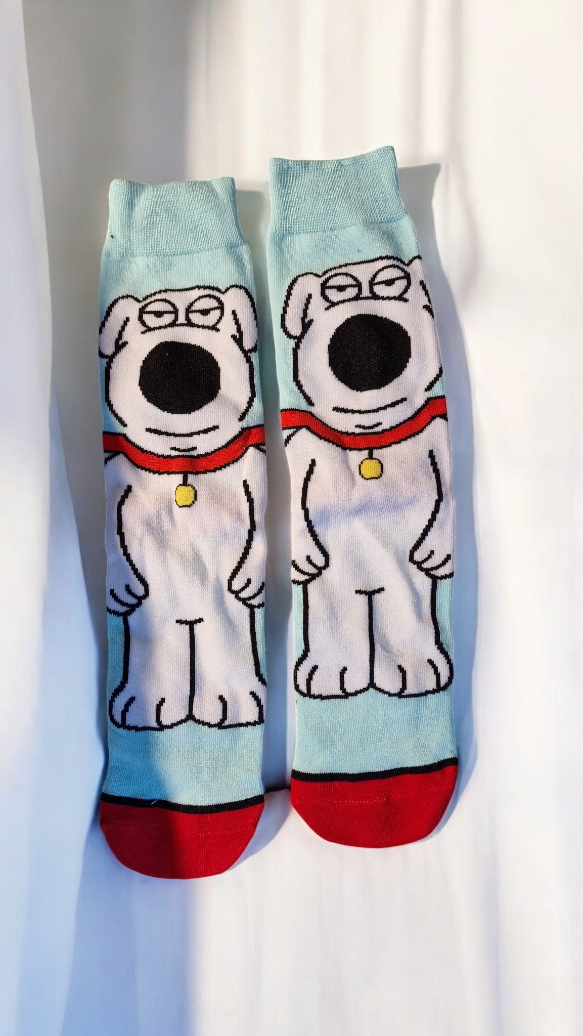 Pair of socks with cartoon dog design on a white background