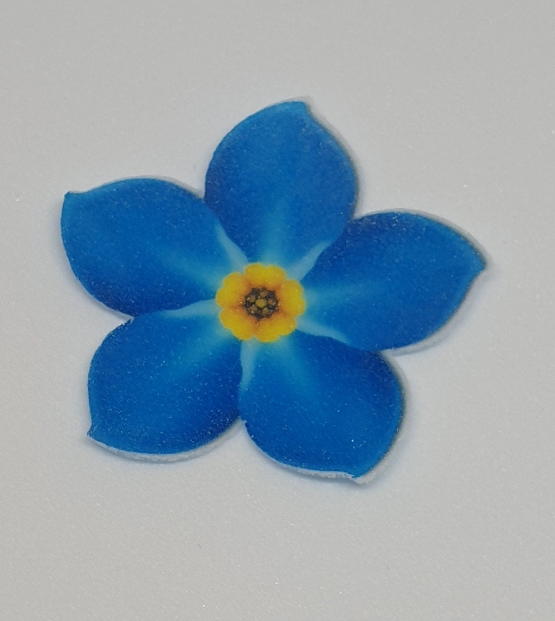 Forget me nots, Blue flower. Dementia coffee morning. cake sale PRE CUT Edible X24 cake cupcake decoration