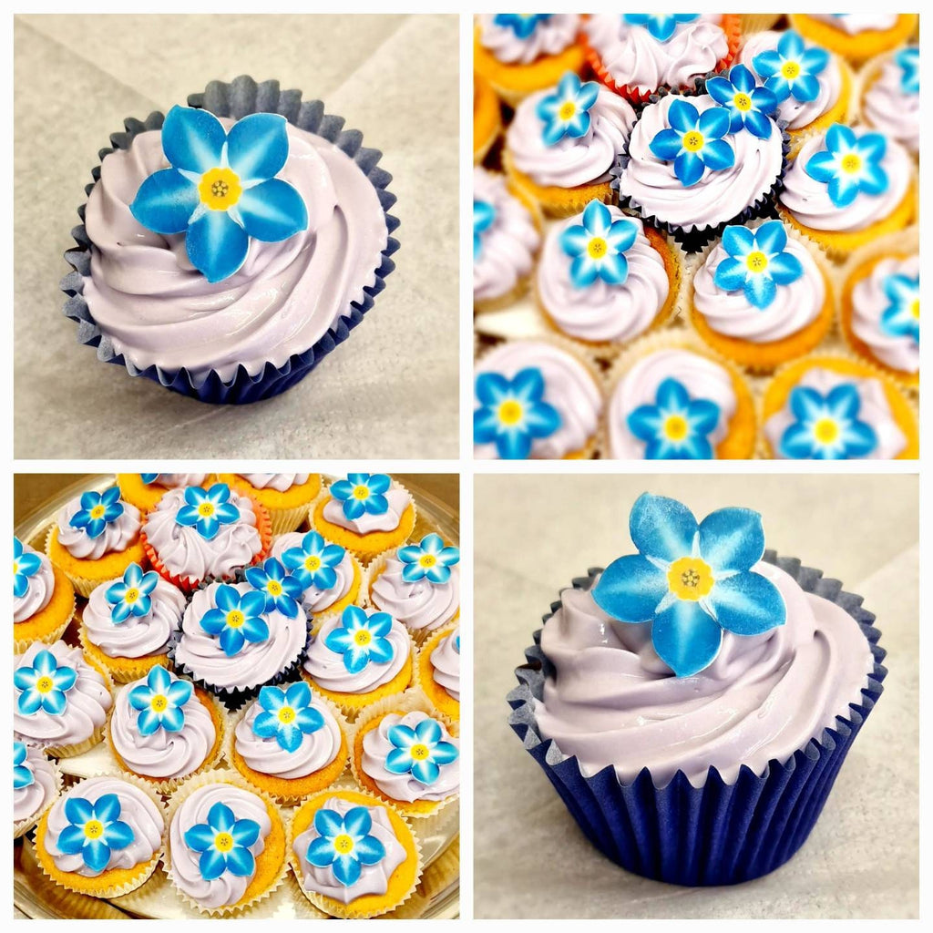 Forget me nots, Blue flower. Dementia coffee morning. cake sale PRE CUT Edible X24 cake cupcake decoration