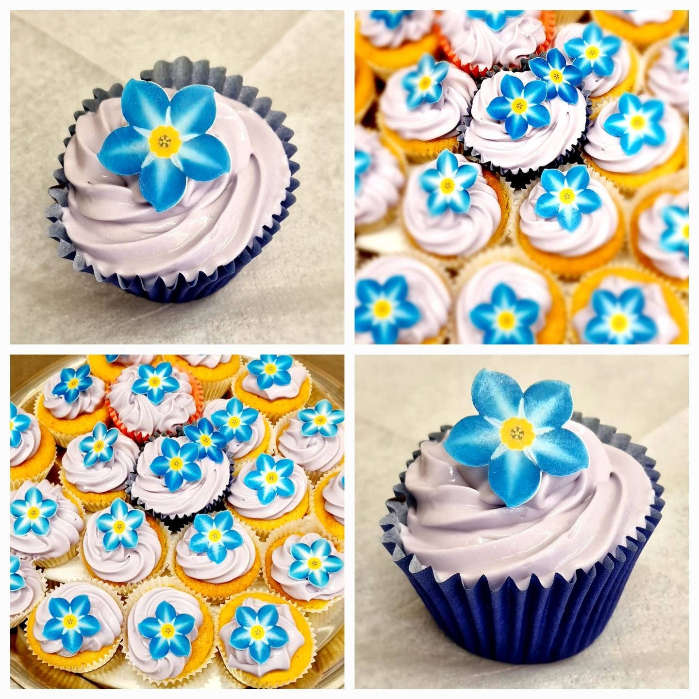 Forget me nots, Blue flower. Dementia coffee morning. cake sale PRE CUT Edible X24 cake cupcake decoration
