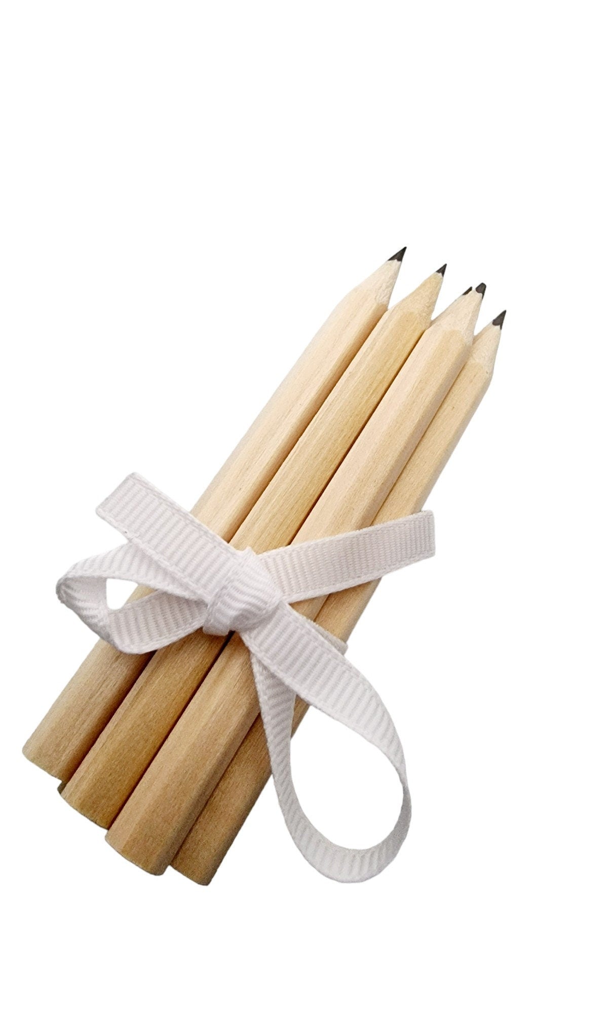 Birch LED memorial tree with 90 memory cards and 6 pencils, ideal for funeral remembrance or celebration of life ceremonies.