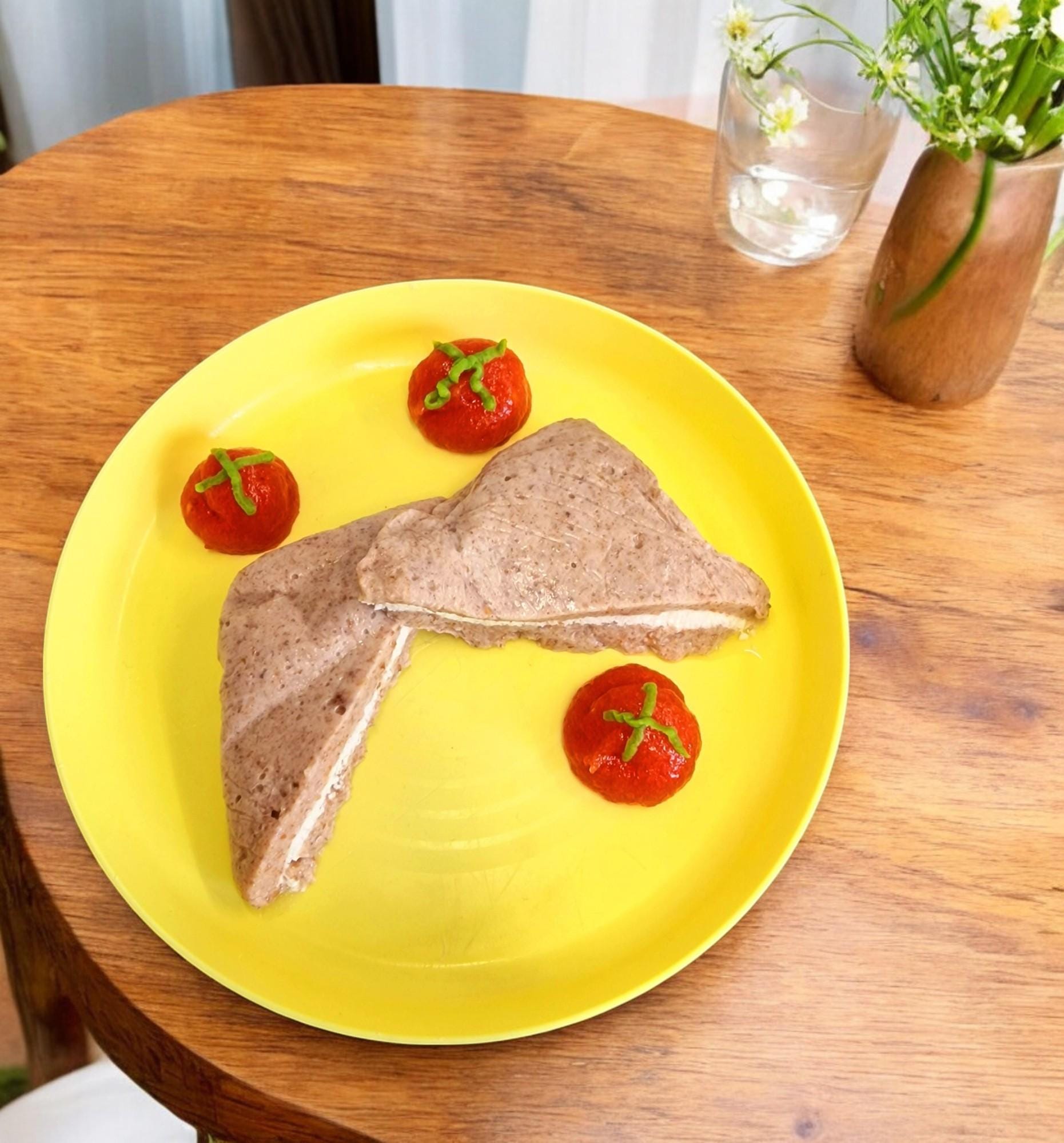Puree food mold and bread sandwich set for dysphagia, displayed as a practical and thoughtful care gift.