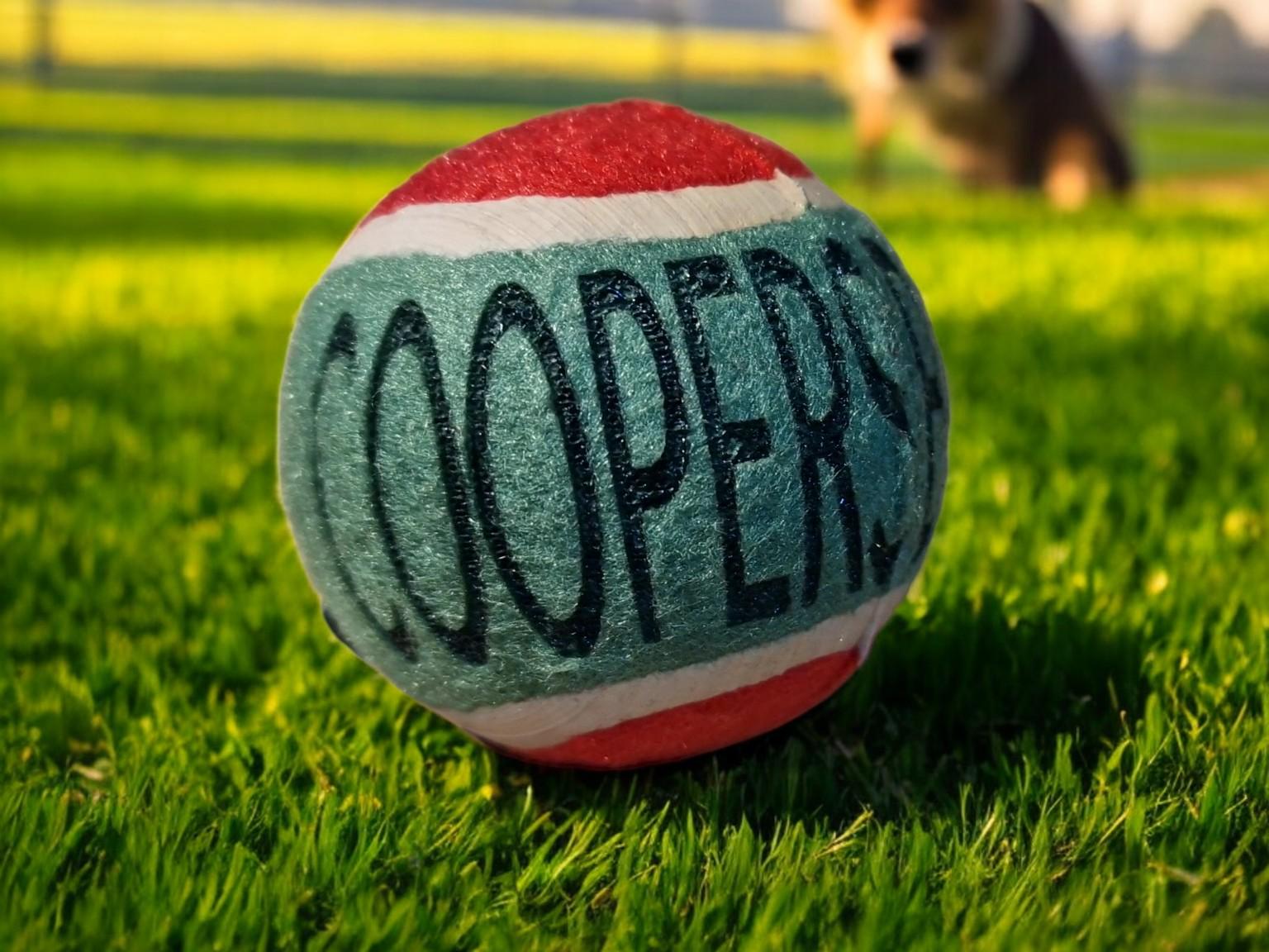 Personalised tennis ball for dogs with custom name or message, fun gift for pets, ideal for birthdays, Christmas, or new puppies