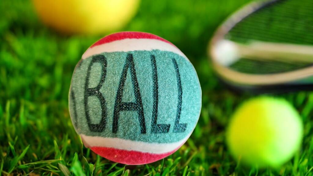Personalised dog tennis ball with custom name – unique pet gift, yellow tennis ball for dogs