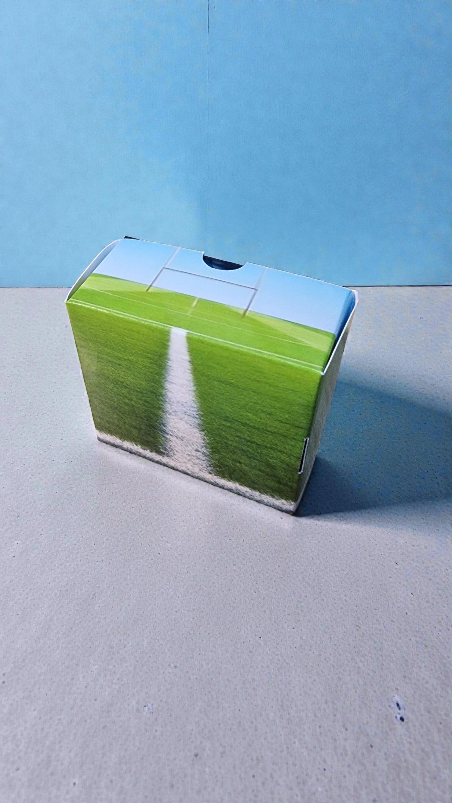 Carton box with green grass and blue sky design on a light gray surface with blue background