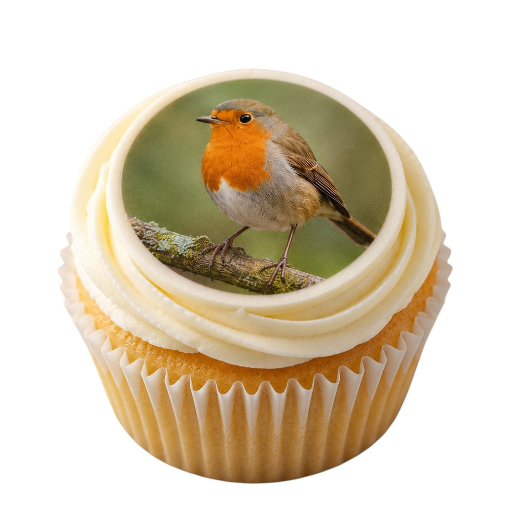 Cupcake with a robin bird image on the top